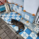 J. SUN 게스트하우스 | 혼자 발리 여행: 우붓 셋째 날, Karsa Spa 카르사스파 예약방법&amp;후기 / 우붓 맛집 / 래핑부다 Bar