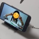 슬기로운 박물관 꾸러미 | 놀이나무 슬기로운 랜선놀이 , 선생님과 쌍방향 소통하는 저학년추천 북아트만들기 온라인놀이수업