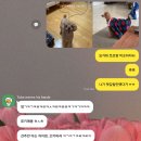 동읍129 | 특별한걸 안해도 순탄하게 흘러가는 하루들 🎶🌞 근데 힌남노가 웬 말