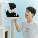 동물보육원 이미지