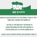 미유펫동물병원