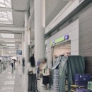 GS25 동인천본점 | 인천공항 1터미널 면세구역 탑승동 편의점 스타벅스 위치