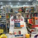 유한약국 이미지