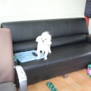 깔끔이세차장 이미지