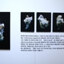 제나할러웨이 워터베이비전 이미지