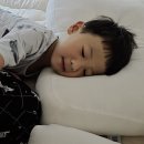 코즈케어 | 코즈코즈 두부베개 내돈내산 후기