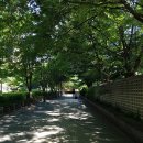 동로치안센터 | 210616 서울식물원(호수원, 온실, 주제원)