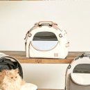 춘이네 멍치원 이미지