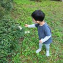 서구열린스마트도서관(서구청) | 육아일기/ 청라호수공원도서관 / 개똥이네 중고서적 / 신문지놀이 / 미역촉감놀이 / 서구육아종합지원센터