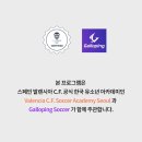 갤로핑 Daum카페