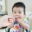 이유식체험 10개월 아기 팜투베이비 후기이유식 입자 농도