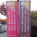 맥스아이엘츠영어교습소