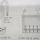 도금이네 이미지