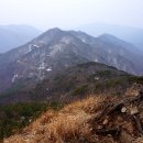 한내여자중학교 이미지