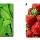 호주농장 이미지