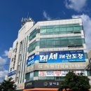 대세 태권도장 이미지