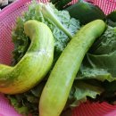 파도사랑 민박 이미지