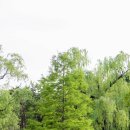 보라매공원 이미지