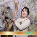 고유종농장 | (호주 시드니🇦🇺) 코알라 궁딩이 만지고 사진찍기 &amp; 쿼카 · 웜뱃 · 캥거루 본 날 : <페더데일 동물원>