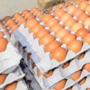 새날농장 이미지