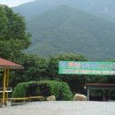 천등민박 이미지