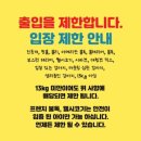 피터펫 카페 안산점 이미지