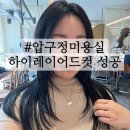 압구정미용실 하이 레이어드컷 성공 | 준오헤어 호연원장 제니 레이어드컷 후기