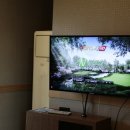 오케이스크린골프 이미지