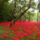 푸르른날 이미지