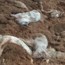 오향4리 네이버블로그