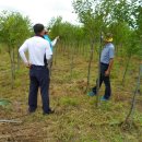 왕성농장 이미지