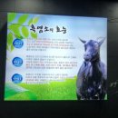 다정보신명가 이미지