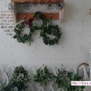 시흥시생명도시농업협동조합