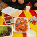 실로암민물고기 | 북한강 대성리송어축제 청평 가평에서 얼음낚시 아이들체험 할수 있는 곳