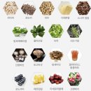 오토라이프(Auto Life) | 피곤해 죽을 것 같은 만성 피로에 하루 2~3봉, 포 라이프(4Life) 라이트 스타트