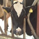 유레카목장 이미지