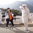 하나레포츠