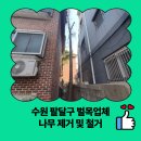 매교동 행정복지센터 회의실 _팔달구 | 수원 팔달구 벌목업체 나무 제거 및 철거