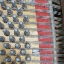 예쁜손음악학원 이미지