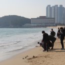 동백섬 이미지