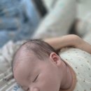 50 | 베이비파스텔 경기 본점 50일 촬영 후기