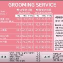 개캉스 살롱 이미지