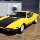 1:18 Exact Detail, Kyosho, Highway61 / 판테라, 머스탱, 험머 외 판매합니다. 이미지