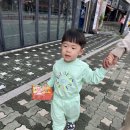 와야또랑