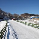 풍전목장 이미지