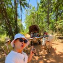 (자)비봉관광여행사 | 스리랑카 콜롬보 히리와두나 폴론나루와 여행 후기