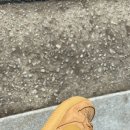 다사랑세탁 이미지