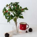 바인커머스 이미지