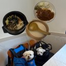 용황애견 | 경주 한식 맛집 실내 애견동반 식당 “궁상각치우”