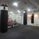 SH 다이어트 복싱 이미지